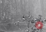 Image of American soldiers Oahu Hawaii USA, 1945, second 55 stock footage video 65675038647