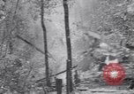 Image of American soldiers Oahu Hawaii USA, 1945, second 61 stock footage video 65675038647
