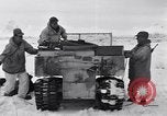 Immagine di Soldati americani Camp Hale Colorado USA, 1944, secondo 14 filmato di repertorio 65675038649