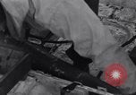 Standbild amerikanische Soldaten Camp Hale Colorado USA, 1944, aus Sekunde 39 historischem Filmmaterial Videoclip 65675038650