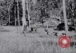 Image Jungle Warfare Training Canungra Australie, 1943, de la seconde 1 séquences d'archives historiques vidéo 65675038651