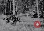 Image Jungle Warfare Training Canungra Australie, 1943, de la seconde 3 séquences d'archives historiques vidéo 65675038651