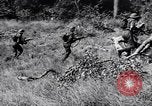 Image Jungle Warfare Training Canungra Australie, 1943, de la seconde 9 séquences d'archives historiques vidéo 65675038651