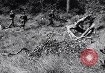 Image Jungle Warfare Training Canungra Australie, 1943, de la seconde 11 séquences d'archives historiques vidéo 65675038651