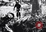Image Jungle Warfare Training Canungra Australie, 1943, de la seconde 12 séquences d'archives historiques vidéo 65675038651