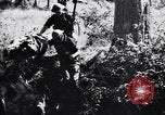 Image Jungle Warfare Training Canungra Australie, 1943, de la seconde 14 séquences d'archives historiques vidéo 65675038651