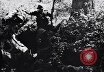 Image Jungle Warfare Training Canungra Australie, 1943, de la seconde 15 séquences d'archives historiques vidéo 65675038651