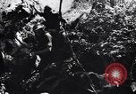 Image Jungle Warfare Training Canungra Australie, 1943, de la seconde 16 séquences d'archives historiques vidéo 65675038651