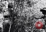 Image Jungle Warfare Training Canungra Australie, 1943, de la seconde 21 séquences d'archives historiques vidéo 65675038651