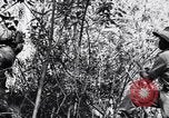 Image Jungle Warfare Training Canungra Australie, 1943, de la seconde 22 séquences d'archives historiques vidéo 65675038651