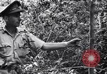Image Jungle Warfare Training Canungra Australie, 1943, de la seconde 23 séquences d'archives historiques vidéo 65675038651