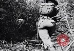 Image Jungle Warfare Training Canungra Australie, 1943, de la seconde 28 séquences d'archives historiques vidéo 65675038651