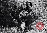 Image Jungle Warfare Training Canungra Australie, 1943, de la seconde 29 séquences d'archives historiques vidéo 65675038651