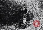 Image Jungle Warfare Training Canungra Australie, 1943, de la seconde 30 séquences d'archives historiques vidéo 65675038651