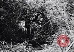 Image Jungle Warfare Training Canungra Australie, 1943, de la seconde 31 séquences d'archives historiques vidéo 65675038651