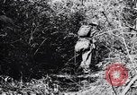 Image Jungle Warfare Training Canungra Australie, 1943, de la seconde 32 séquences d'archives historiques vidéo 65675038651