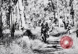 Image Jungle Warfare Training Canungra Australie, 1943, de la seconde 34 séquences d'archives historiques vidéo 65675038651