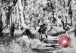 Image Jungle Warfare Training Canungra Australie, 1943, de la seconde 35 séquences d'archives historiques vidéo 65675038651