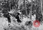 Image Jungle Warfare Training Canungra Australie, 1943, de la seconde 36 séquences d'archives historiques vidéo 65675038651