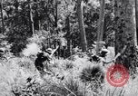 Image Jungle Warfare Training Canungra Australie, 1943, de la seconde 37 séquences d'archives historiques vidéo 65675038651