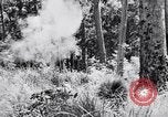 Image Jungle Warfare Training Canungra Australie, 1943, de la seconde 38 séquences d'archives historiques vidéo 65675038651