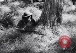 Image Jungle Warfare Training Canungra Australie, 1943, de la seconde 42 séquences d'archives historiques vidéo 65675038651