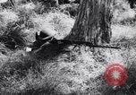 Image Jungle Warfare Training Canungra Australie, 1943, de la seconde 44 séquences d'archives historiques vidéo 65675038651
