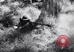Image Jungle Warfare Training Canungra Australie, 1943, de la seconde 46 séquences d'archives historiques vidéo 65675038651