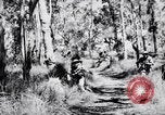 Image Jungle Warfare Training Canungra Australie, 1943, de la seconde 48 séquences d'archives historiques vidéo 65675038651
