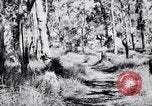 Image Jungle Warfare Training Canungra Australie, 1943, de la seconde 50 séquences d'archives historiques vidéo 65675038651