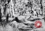Image Jungle Warfare Training Canungra Australie, 1943, de la seconde 51 séquences d'archives historiques vidéo 65675038651