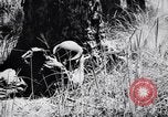 Image Jungle Warfare Training Canungra Australie, 1943, de la seconde 53 séquences d'archives historiques vidéo 65675038651