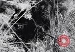 Image Jungle Warfare Training Canungra Australie, 1943, de la seconde 57 séquences d'archives historiques vidéo 65675038651