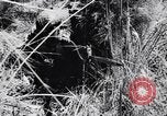 Image Jungle Warfare Training Canungra Australie, 1943, de la seconde 58 séquences d'archives historiques vidéo 65675038651