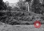 Image Jungle Warfare Training Canungra Australie, 1943, de la seconde 3 séquences d'archives historiques vidéo 65675038652