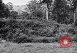 Image Jungle Warfare Training Canungra Australie, 1943, de la seconde 5 séquences d'archives historiques vidéo 65675038652