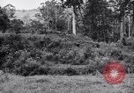 Image Jungle Warfare Training Canungra Australie, 1943, de la seconde 7 séquences d'archives historiques vidéo 65675038652