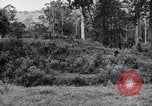 Image Jungle Warfare Training Canungra Australie, 1943, de la seconde 8 séquences d'archives historiques vidéo 65675038652