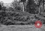 Image Jungle Warfare Training Canungra Australie, 1943, de la seconde 9 séquences d'archives historiques vidéo 65675038652