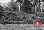 Image Jungle Warfare Training Canungra Australie, 1943, de la seconde 11 séquences d'archives historiques vidéo 65675038652