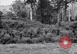 Image Jungle Warfare Training Canungra Australie, 1943, de la seconde 12 séquences d'archives historiques vidéo 65675038652