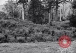 Image Jungle Warfare Training Canungra Australie, 1943, de la seconde 13 séquences d'archives historiques vidéo 65675038652
