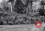 Image Jungle Warfare Training Canungra Australie, 1943, de la seconde 14 séquences d'archives historiques vidéo 65675038652
