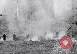 Image Jungle Warfare Training Canungra Australie, 1943, de la seconde 16 séquences d'archives historiques vidéo 65675038652