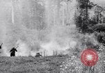 Image Jungle Warfare Training Canungra Australie, 1943, de la seconde 19 séquences d'archives historiques vidéo 65675038652