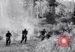 Image Jungle Warfare Training Canungra Australie, 1943, de la seconde 22 séquences d'archives historiques vidéo 65675038652