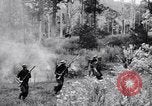 Image Jungle Warfare Training Canungra Australie, 1943, de la seconde 23 séquences d'archives historiques vidéo 65675038652