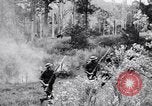 Image Jungle Warfare Training Canungra Australie, 1943, de la seconde 24 séquences d'archives historiques vidéo 65675038652