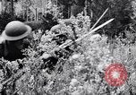 Image Jungle Warfare Training Canungra Australie, 1943, de la seconde 26 séquences d'archives historiques vidéo 65675038652