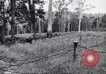 Image Jungle Warfare Training Canungra Australie, 1943, de la seconde 27 séquences d'archives historiques vidéo 65675038652